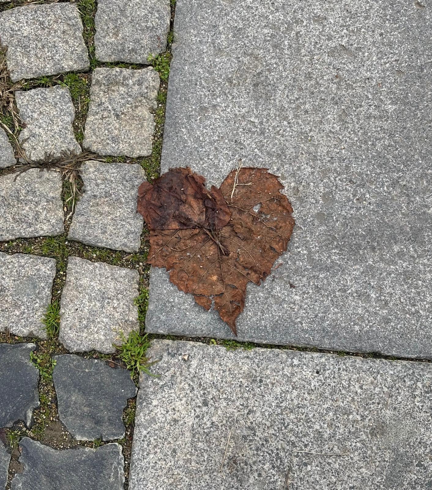 Kendi Ritmimde 2026 çalışma defteri kapak görseli.